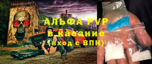 ECSTASY Алзамай